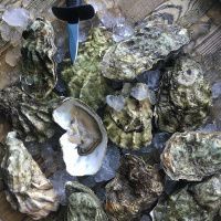 12 дальневосточных устриц (60-100) (12 шт.)